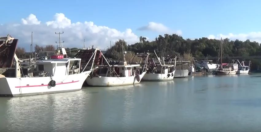 BIOTOSSINA, MITILICOLTORI IN GINOCCHIO A CAGNANO VARANO, OK TAVOLO TECNICO