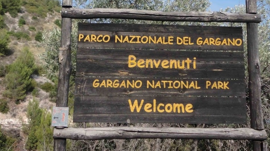 PARCO DEL GARGANO, PROROGATA SCADENZA DEL BANDO ZETA SULL’AIUTO ALLE PICCOLE IMPRESE