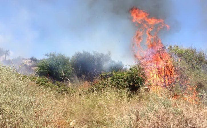 SAN NICANDRO, RIPRISTINO DELLE FORESTE DANNEGGIATE DA INCENDI IN LOCALITA’ SAN GIUSEPPE