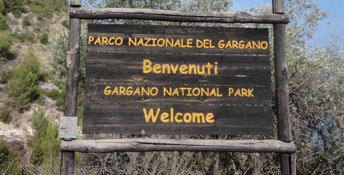 IL PARCO DEL GARGANO ADERISCE A SYMBOLA