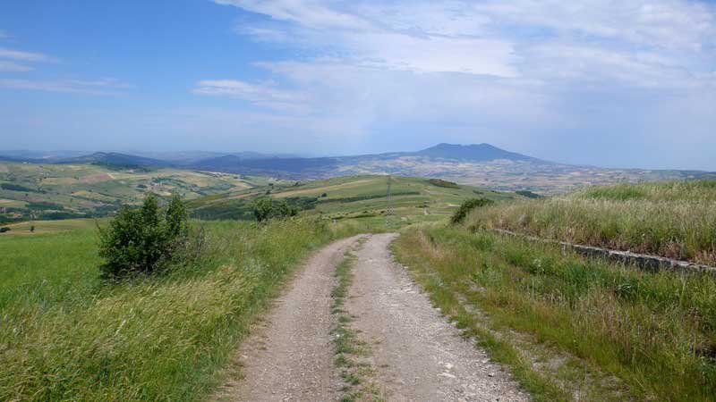 I TRATTURI DEL PAESAGGIO PUGLIESE