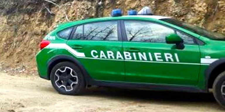 ECCO IL BANDO DI CONCORSO PER ENTRARE NEL CORPO CARABINIERI FORESTALI