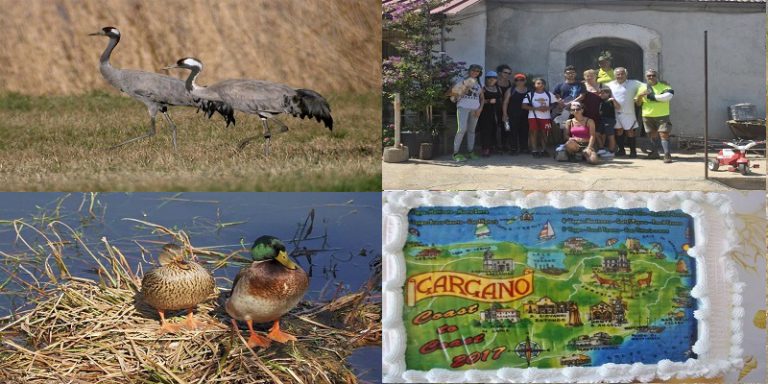 1° EDIZIONE DELLA “PASSEGGIATA” NEL GARGANO “COAST TO COAST” 2017