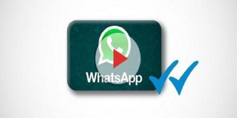 WHATSAPP, ECCO LA SPUNTA VERDE. PERCHE’?