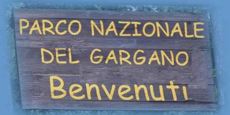 DIRETTORE DELL’ENTE PARCO DEL GARGANO, PUBBLICATO L’AVVISO PUBBLICO