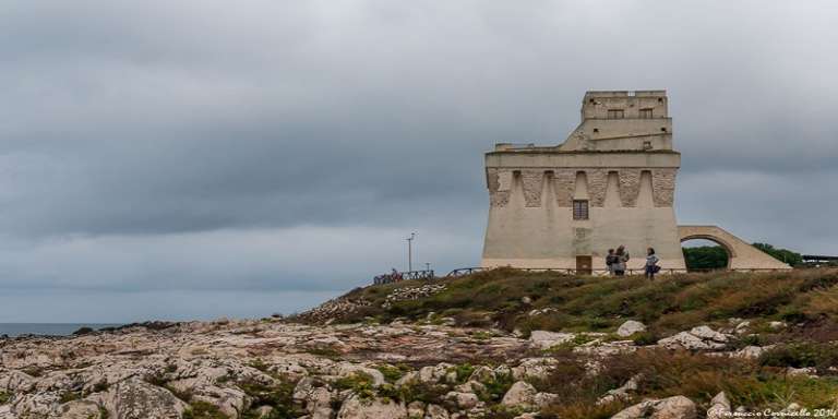 UNA VOLTA SI PARLAVA DEL PORTO TURISTICO DI TORRE MILETO