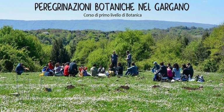 “PEREGRINAZIONI BOTANICHE NEL GARGANO” –  CORSO DI 1° LIVELLO DI BOTANICA