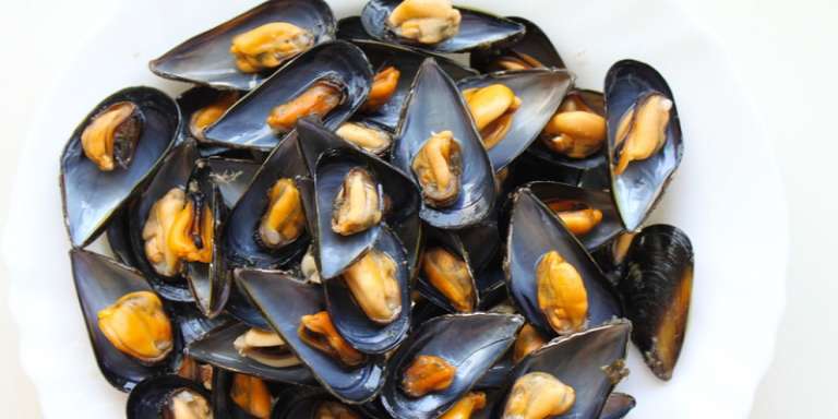 DALLA SPAGNA COZZE VIVE CONTAMINATE DA ESCHERICHIA COLI