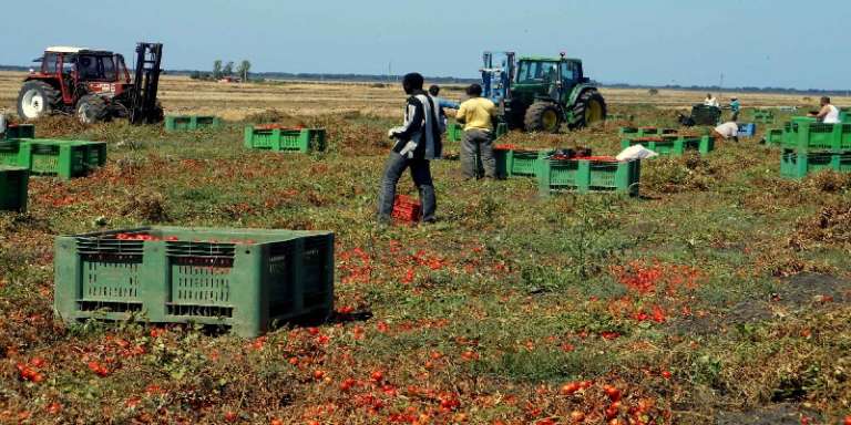 STRUTTURA DI ACCOGLIENZA PER LAVORATORI MIGRANTI, OLTRE APRICENA, ANCHE SAN SEVERO E MANFREDONIA