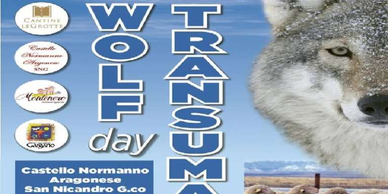 SAN NICANDRO, WOLF DAY E TRANSUMANZA