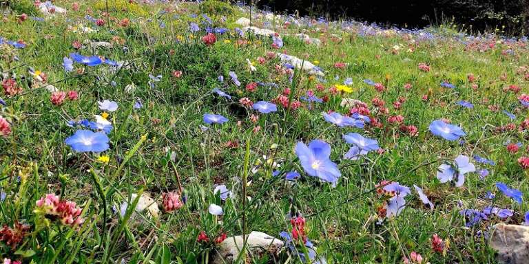 DOMENICHE DI PRIMAVERA ALL’INSEGNA DELLA CONOSCENZA