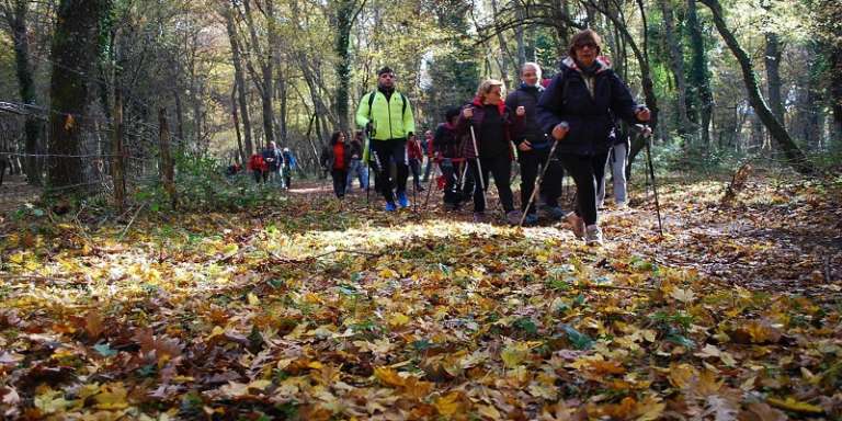 FESTA DEL CAMMINO IN LOCALITA’ BOSCO SPINAPULCI
