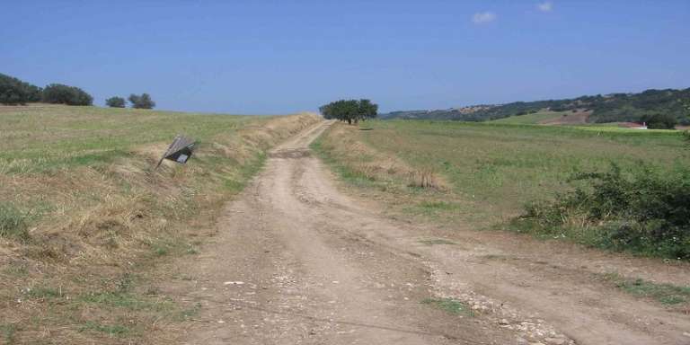 SAN NICANDRO, AL VIA IL RIPRISTINO DI TRATTURI INAGIBILI E DISSESTATI