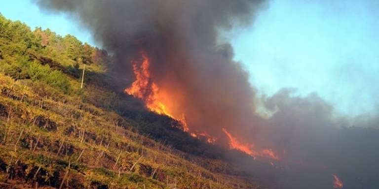 SAN NICANDRO, CONTRASTO INCENDI BOSCHIVI E NORME BRUCIATURA STOPPIE