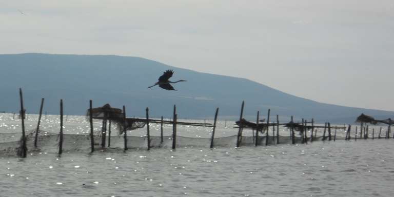 LA LAGUNA DI VARANO, CENNI STORICI