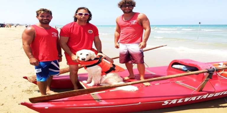 LIDO DEL SOLE, BIMBO SALVATO DA CANE BAGNINO SCISAR