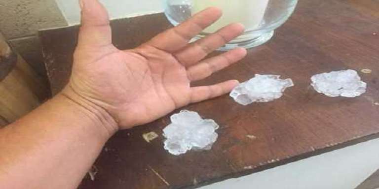 MALTEMPO: GARGANO, KO OLIVE E ORTAGGI