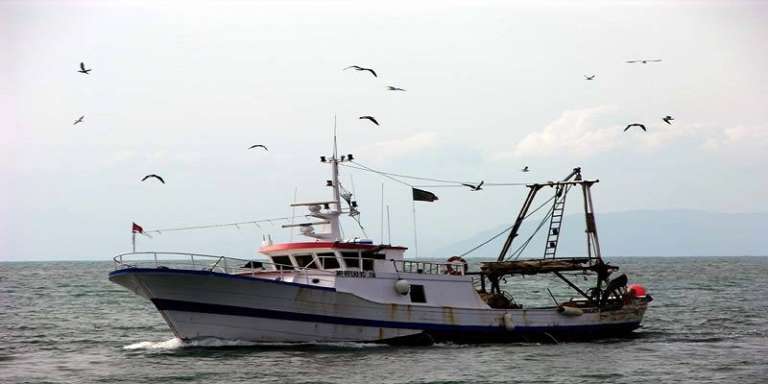 FERMO PESCA DELL’ADRIATICO