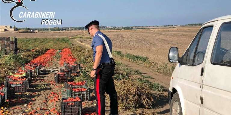 LOTTA AL CAPORALATO E SICUREZZA NEGLI AMBIENTI DI LAVORO