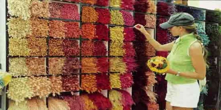 QUANDO SAN NICANDRO ERA LA CAPITALE D’ITALIA DEI FIORI SECCHI