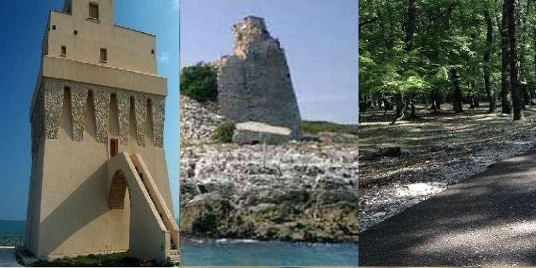 I SENTIERI DEL BOSCO SPINAPULCI E DI TORRE MILETO-CALAROSSA PREDISPOSTE DAL PARCO