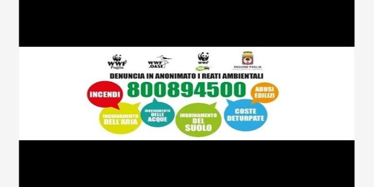 ENTRO IL 15 SETTEMBRE SEGNALAZIONI AL NUMERO VERDE PER I REATI AMBIENTALI