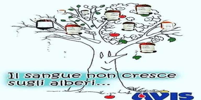 AVIS, DONAZIONE SANGUE