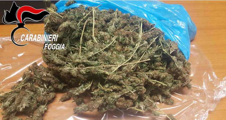 CARABINIERI, CONTROLLO AL CONTRASTO AL CONSUMO DI STUPEFACENTI ANCHE A SAN NICANDRO