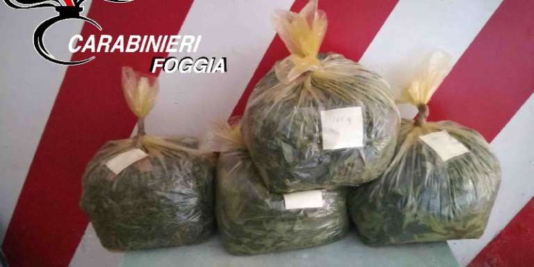 CARABINIERI ARRESTATO OPERAIO PER DETENEZIONE COSPICUA QUANTITA’ DI EROINA