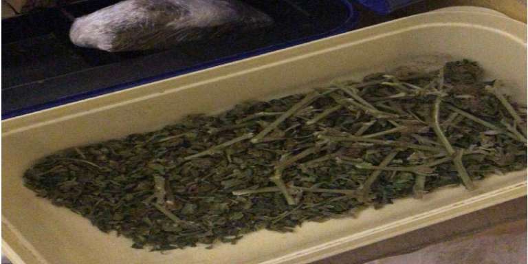 I CARABINIERI ARRESTANO COPPIA CHE SPACCIAVA IN CASA HASHISH E MARIJUANA