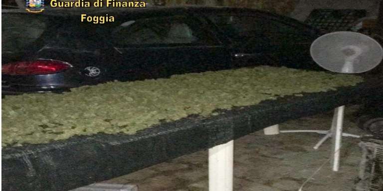 LA GUARDIA DI FINANZA SEQUESTRA 22 KG. DI MARIJUANA, DUE PERSONE TRATTE IN ARRESTO