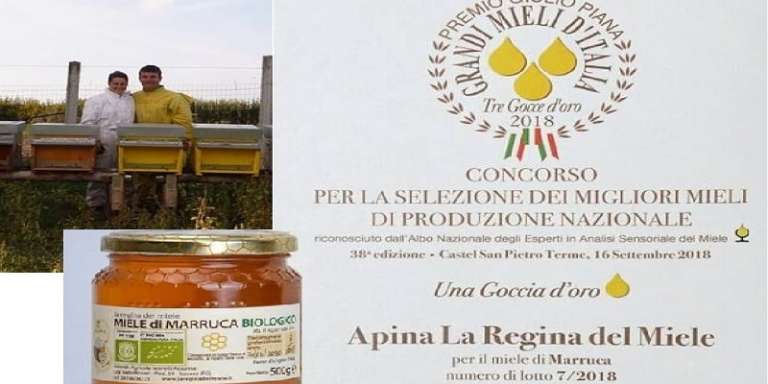 SI PRODUCE A SAN NICANDRO UNO DEI MIGLIORI MIELI BIOLOGICI D’ITALIA