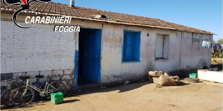 NEMMENO L’AUTUNNO FERMA IL CAPORALATO, ARRESTATI RUMENI PER SFRUTTAMENTO DEL LAVORO