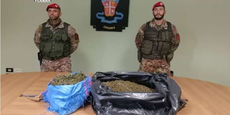 NASCONDEVA OLTRE OTTO CHILI DI MARIJUANA NELLA MASSERIA DI FAMIGLIA