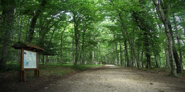 UN PROGETTO PER GUIDE DEL PARCO DEL GARGANO