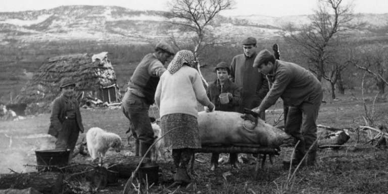 IL GIORNO DI SANT’ANTONIO ABATE SI AMMAZZAVA IL MAIALE E COMINCIAVA IL CARNEVALE