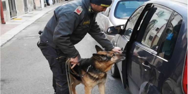 GUARDIA DI FINANZA, IL CANE ANTIDROGA VACO FA ARRESTARE DUE TRAFFICANTI