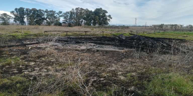 CAPANNO IN FIAMME NELLA NOTTE, LA CONDANNA DELL’ENTE PARCO DEL GARGANO