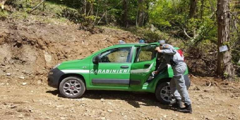 PUGLIA, IL REPORT 2019 DEI CARABINIERI FORESTALI