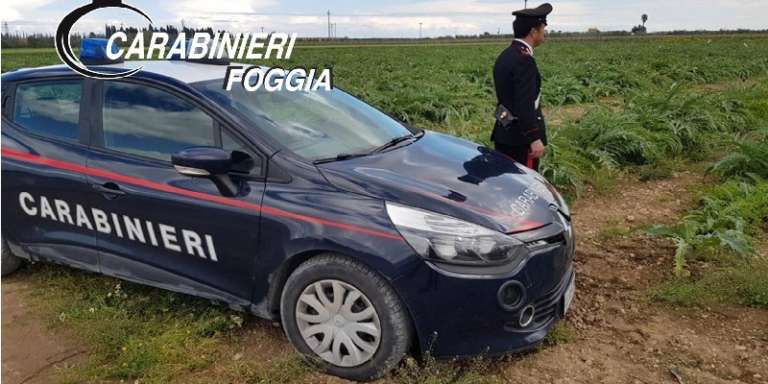 SORPRESI A RUBARE MIGLIAIA DI CARCIOFI, ARRESTATI