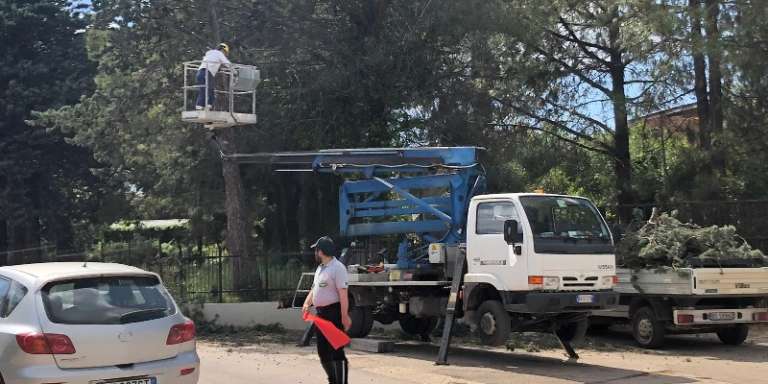 MANUTENZIONE VERDE PUBBLICO A PORTONE PERRONE PER ALBERI A RISCHIO CADUTA