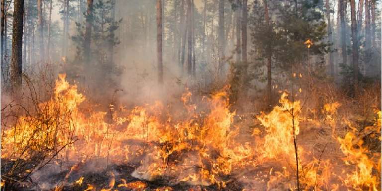 CONTRASTO INCENDI BOSCHIVI NEL TERRITORIO DI SAN NICANDRO