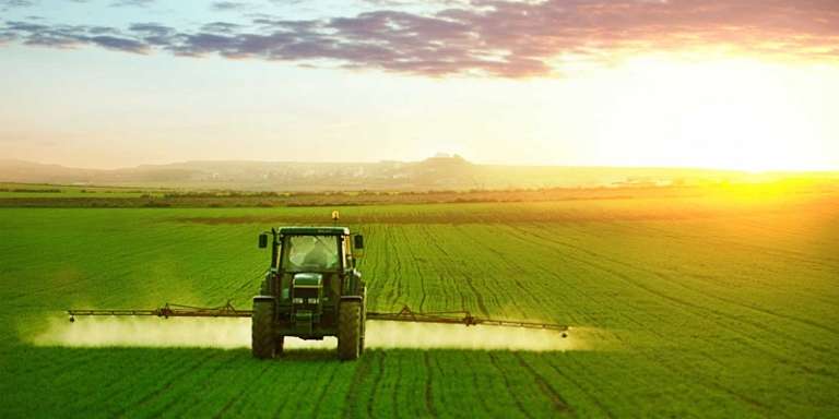 IN RIPRESA L’AGRICOLTURA IN PUGLIA