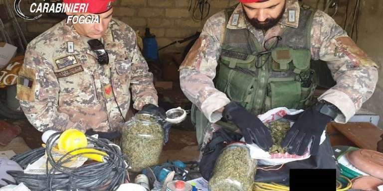 OVICOLTORE 45ENNE ARRESTATO PER POSSESSO DI MARIJUANA E HASCHISH