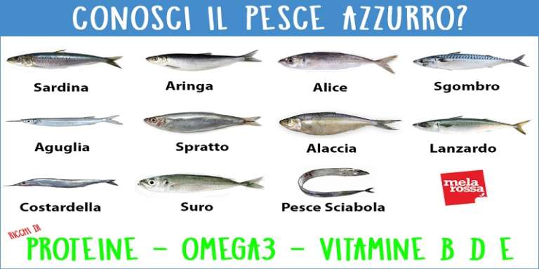 I PUGLIESI MANGIANO POCO PESCE AZZURRO