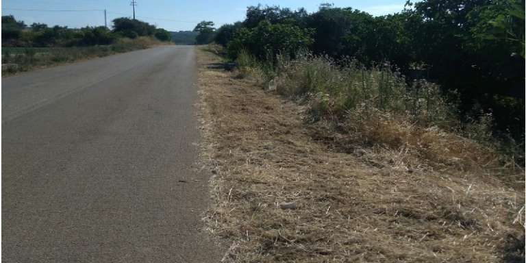 CONTINUA IL TAGLIO DI ERBACCE E PULIZIA CUNETTE IN TERRITORIO DI SAN NICANDRO