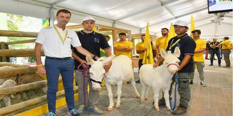 GLI AGRICOLTORI NELLE SCUOLE PRIMARIE CON L’INTESA MIUR-COLDIRETTI