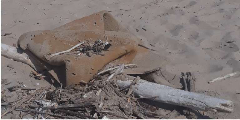 TORRE MILETO, INTERVENTI PER LA RIMOZIONE DEI RIFIUTI MARINI NEGLI ARENILI SABBIOSI E AREE COSTIERE
