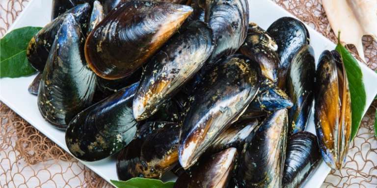 TUTTO CIÒ CHE BISOGNA SAPERE PRIMA DI ACQUISTARE E CUCINARE LE COZZE