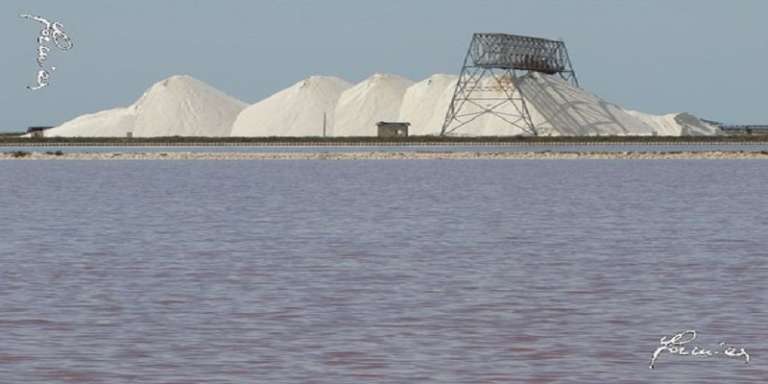 SALINE DI MARGHERITA DI SAVOIA ACQUISTATE DAI FRANCESI NEL SILENZIO DELLE ISTITUZIONI